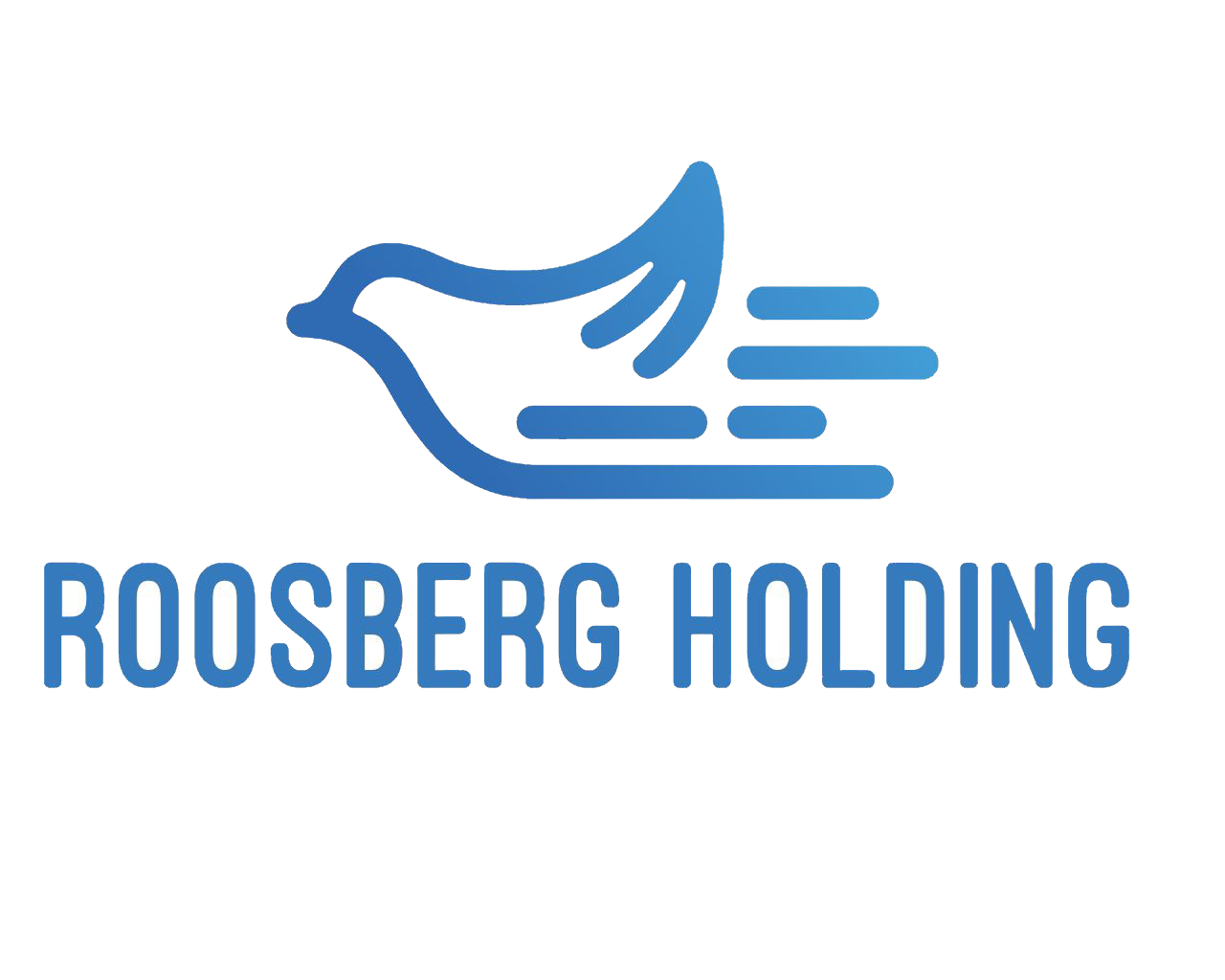 roosberg-holding
